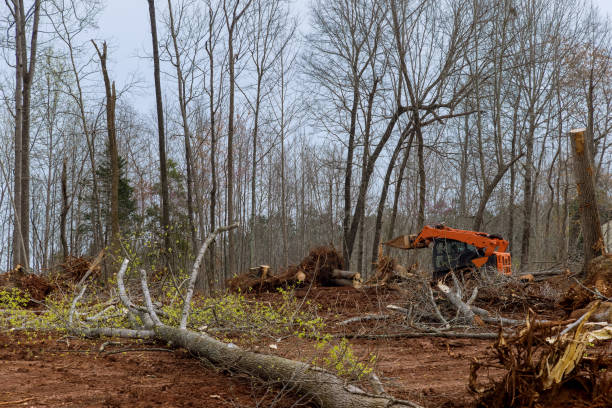 Mulching Services in Mascoutah, IL